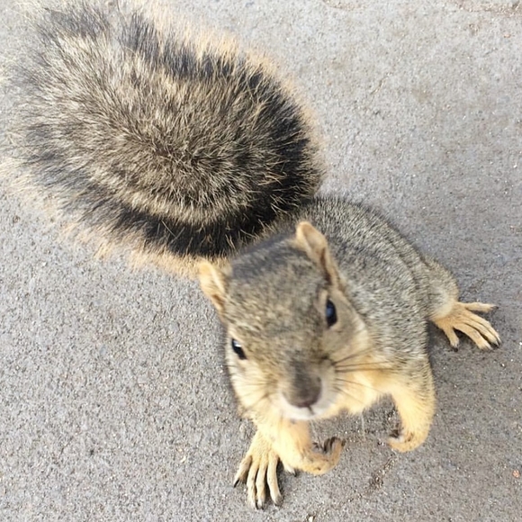 Deleted listing - Picture 1 of 1